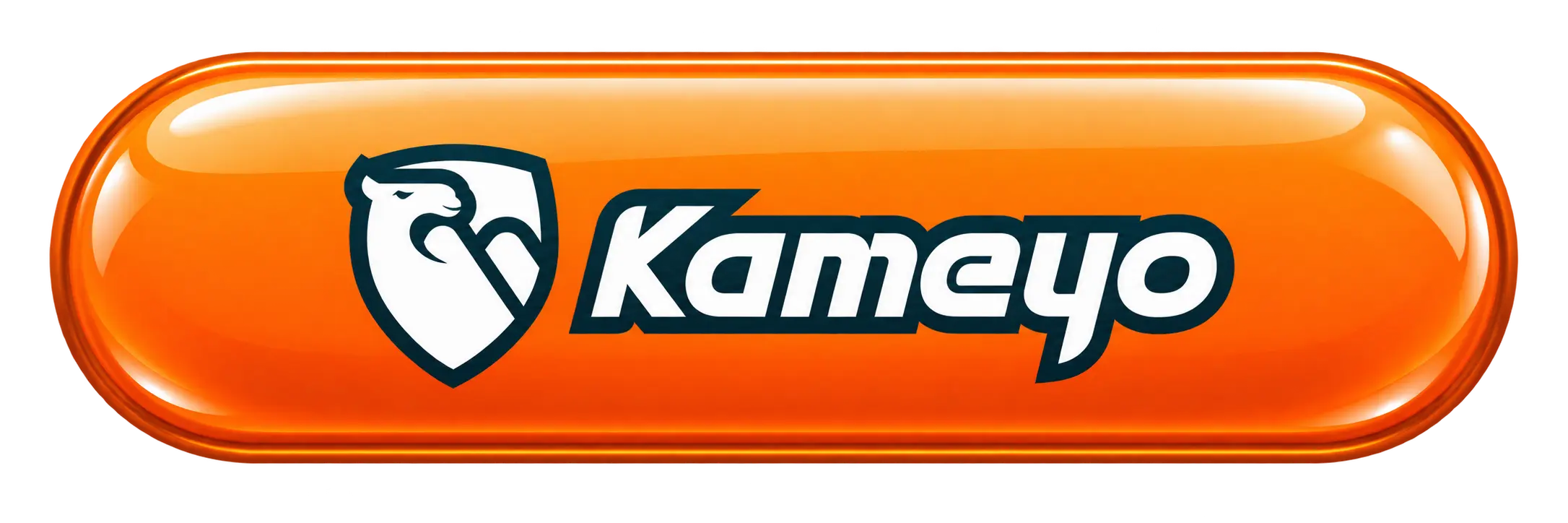 Logo KAMEYO